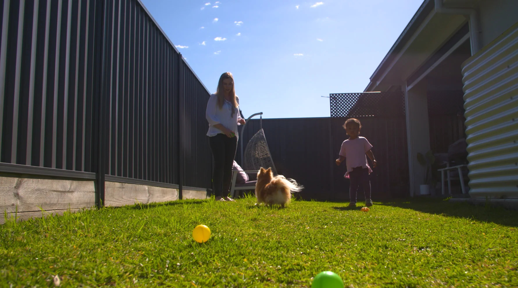 Best Dog Breeds for Families in Australia