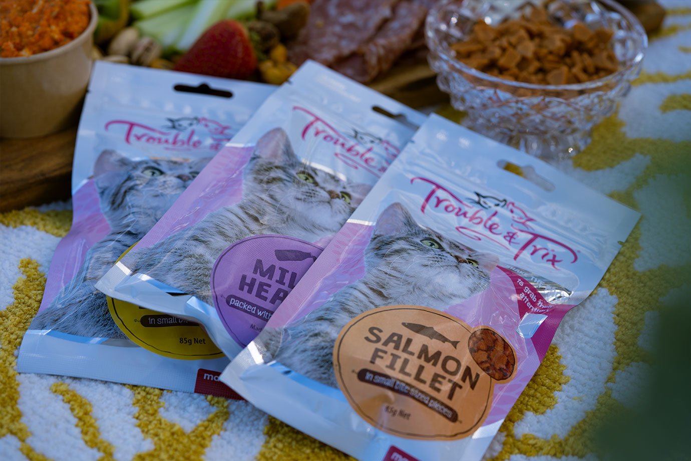 Everything you need to know about Cat Treats - Kellyville Pets