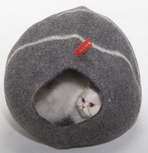 How to Find a Luxurious Bed for Your Pet - Kellyville Pets