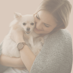Snuggles, coats & cozy beds: Keeping your pup warm this Winter - Kellyville Pets