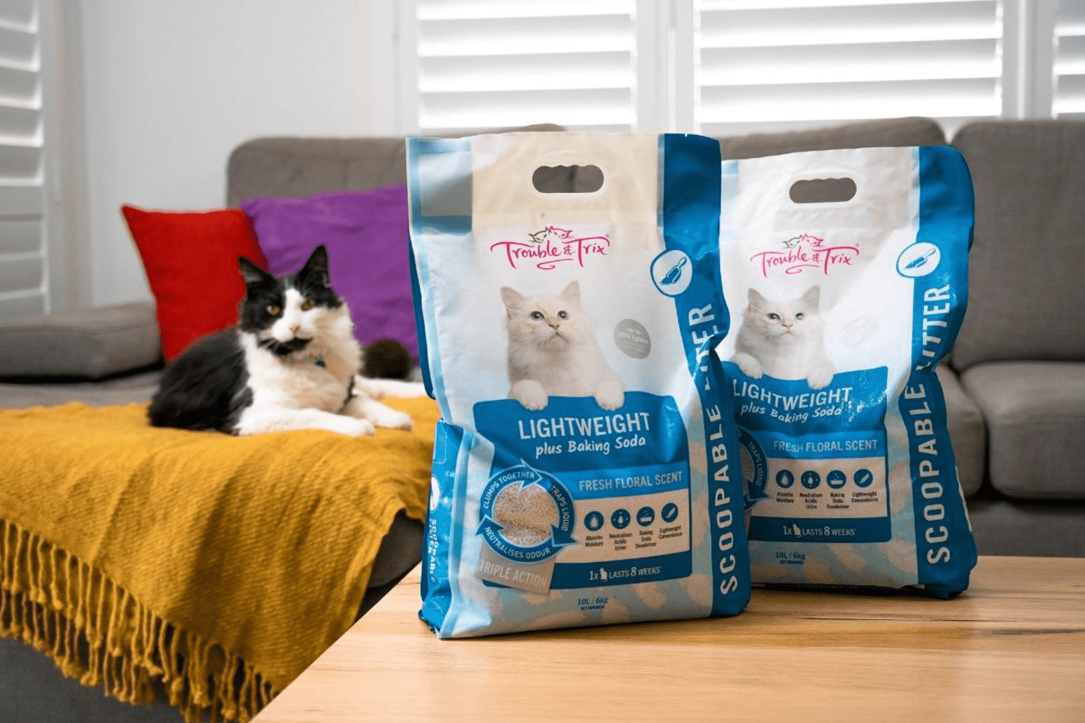 Subscription Ordering - Making Life Easier for the Busy Pet Owner! - Kellyville Pets