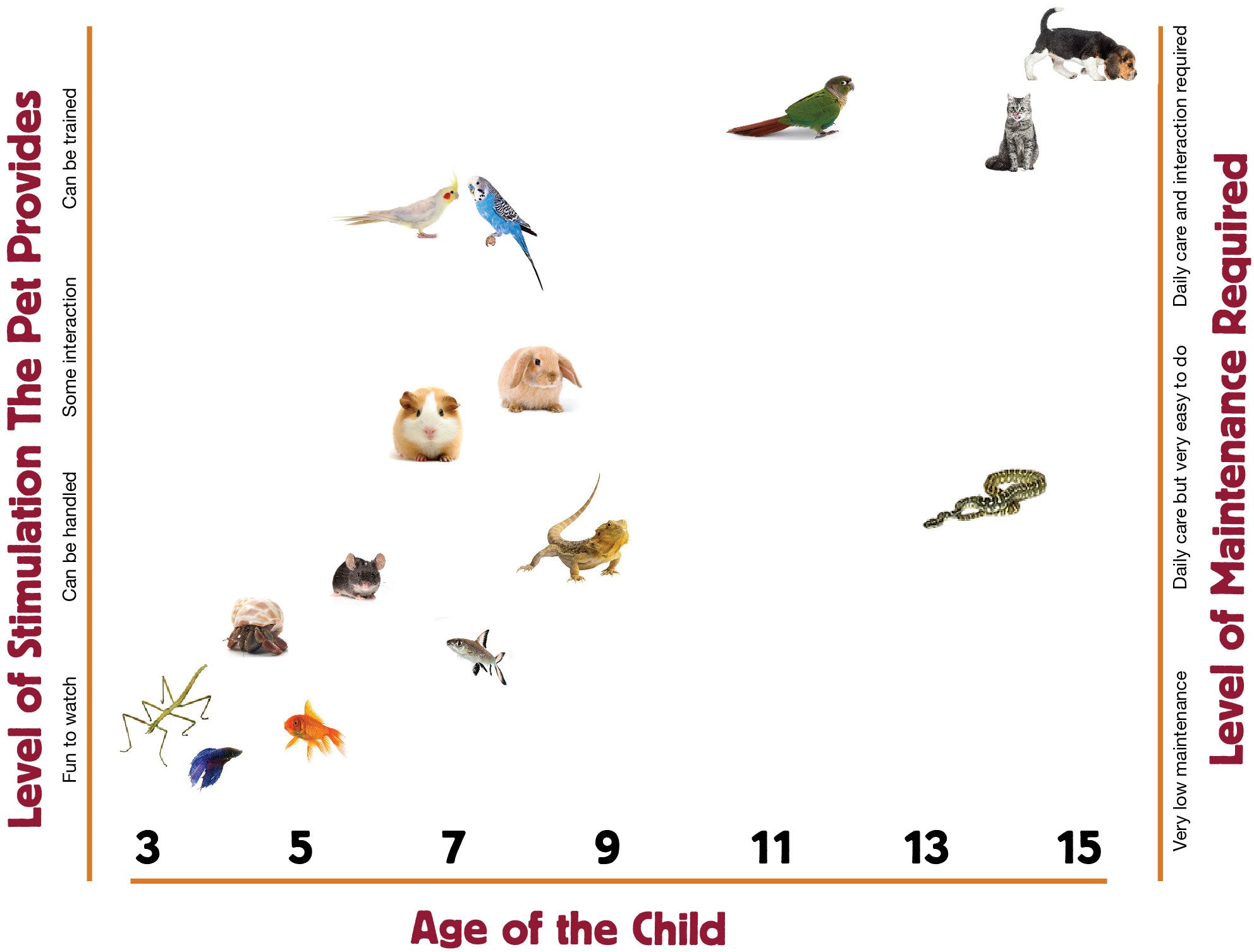 The Right Pet at the Right Age - Kellyville Pets