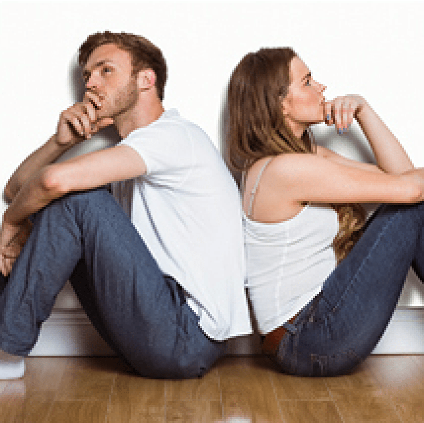 Thinking of adopting? - Kellyville Pets