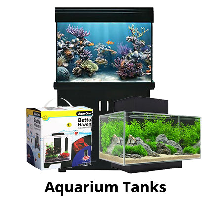 Fish Tanks and Aquariums
