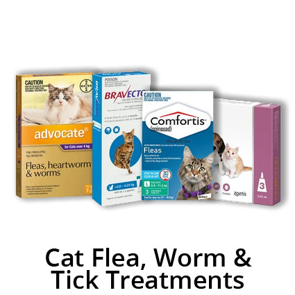 Flea, Tick and Worming Treatment for Cats