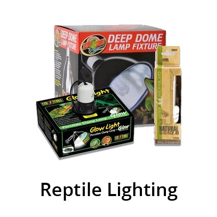Reptile Lighting