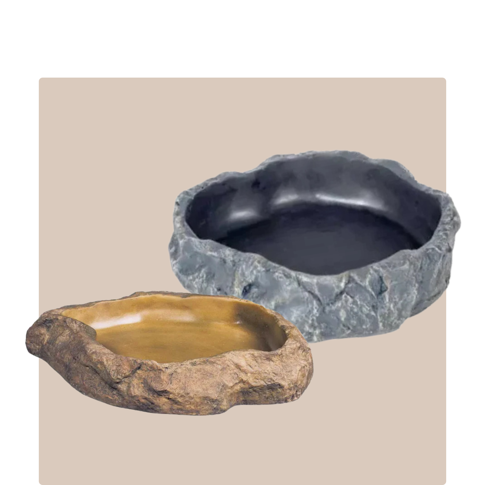 Reptile Feeders & Drinkers - Kellyville Pets