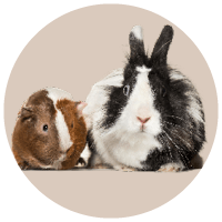 All Small Animal Products - Kellyville Pets
