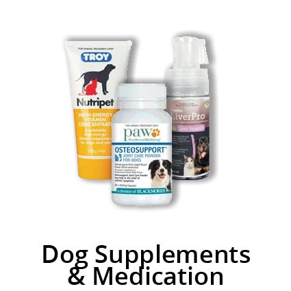 Dog Health & Wellbeing - Kellyville Pets