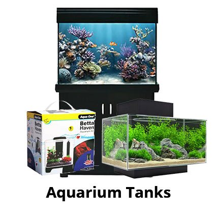 Fish Tanks and Aquariums - Kellyville Pets