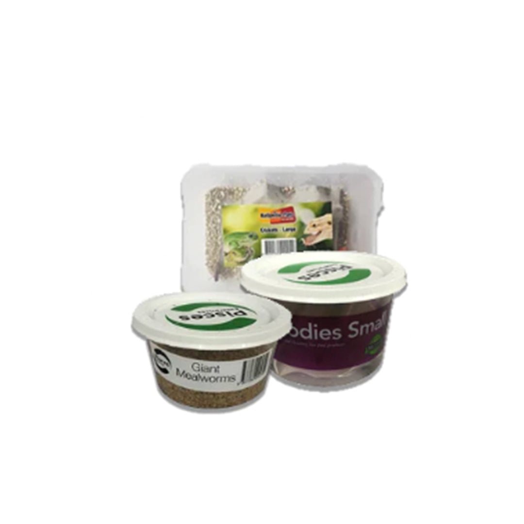 Reptile Live Food - Kellyville Pets