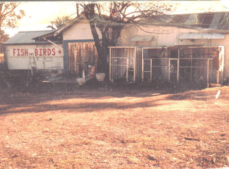 A vintage-style photograph of a small building with a sign reading 'FISH - BIRDS +' on the left wall, with screened bird cages or enclosures along the front. The scene is outdoors on dry, dusty ground with trees and strong sunlight.