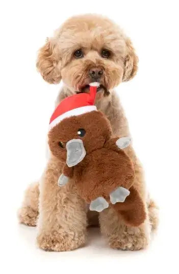 A-Wreatha The Platypus Christmas Dog Toy Fuzzyard