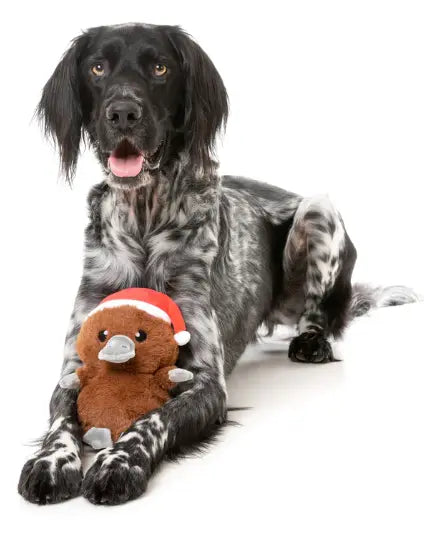 A-Wreatha The Platypus Christmas Dog Toy Fuzzyard