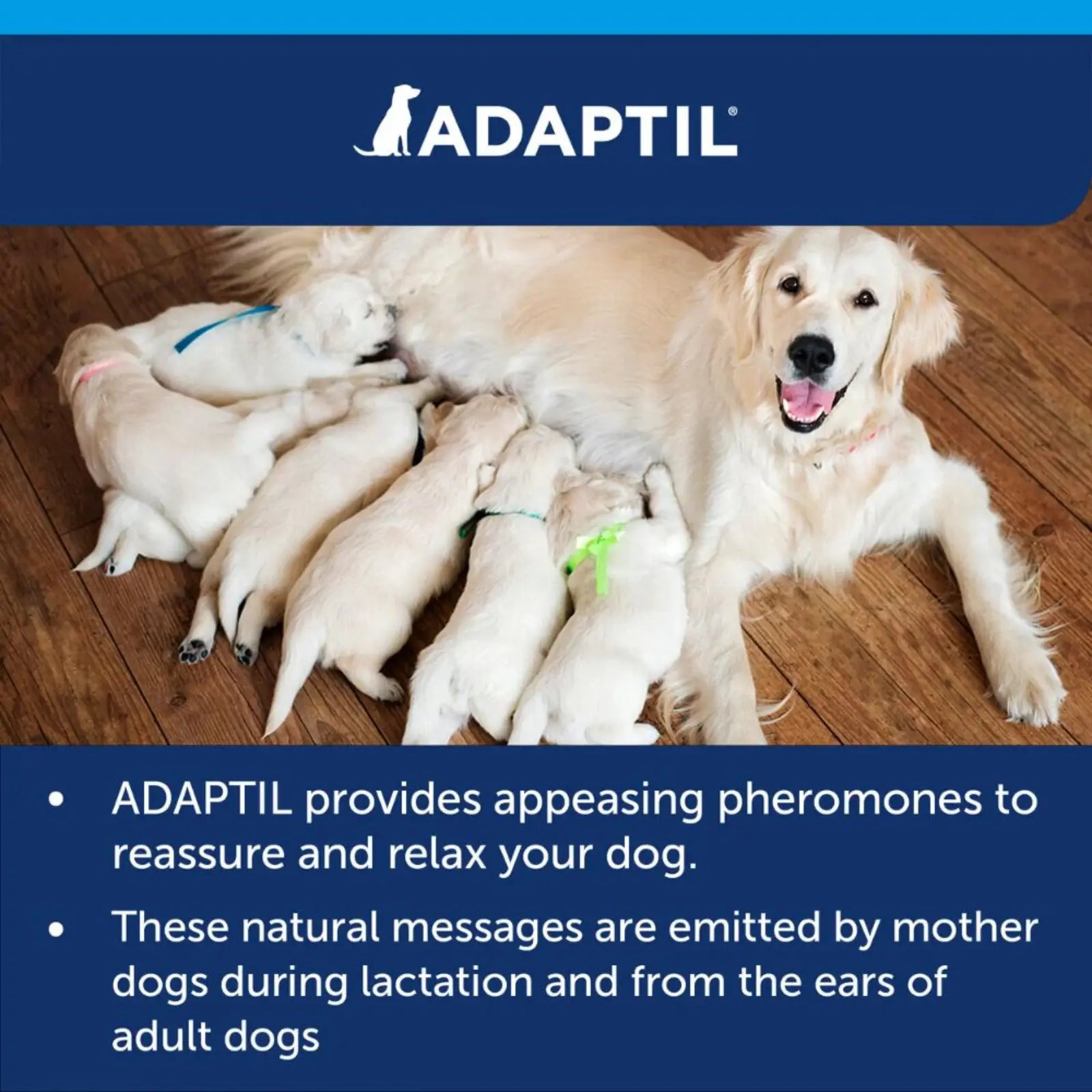 Adaptil Calm Collar Adaptil