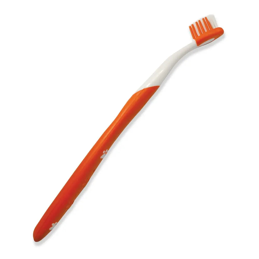 Advanced Oral Care Cat Dental Kit - Kellyville Pets