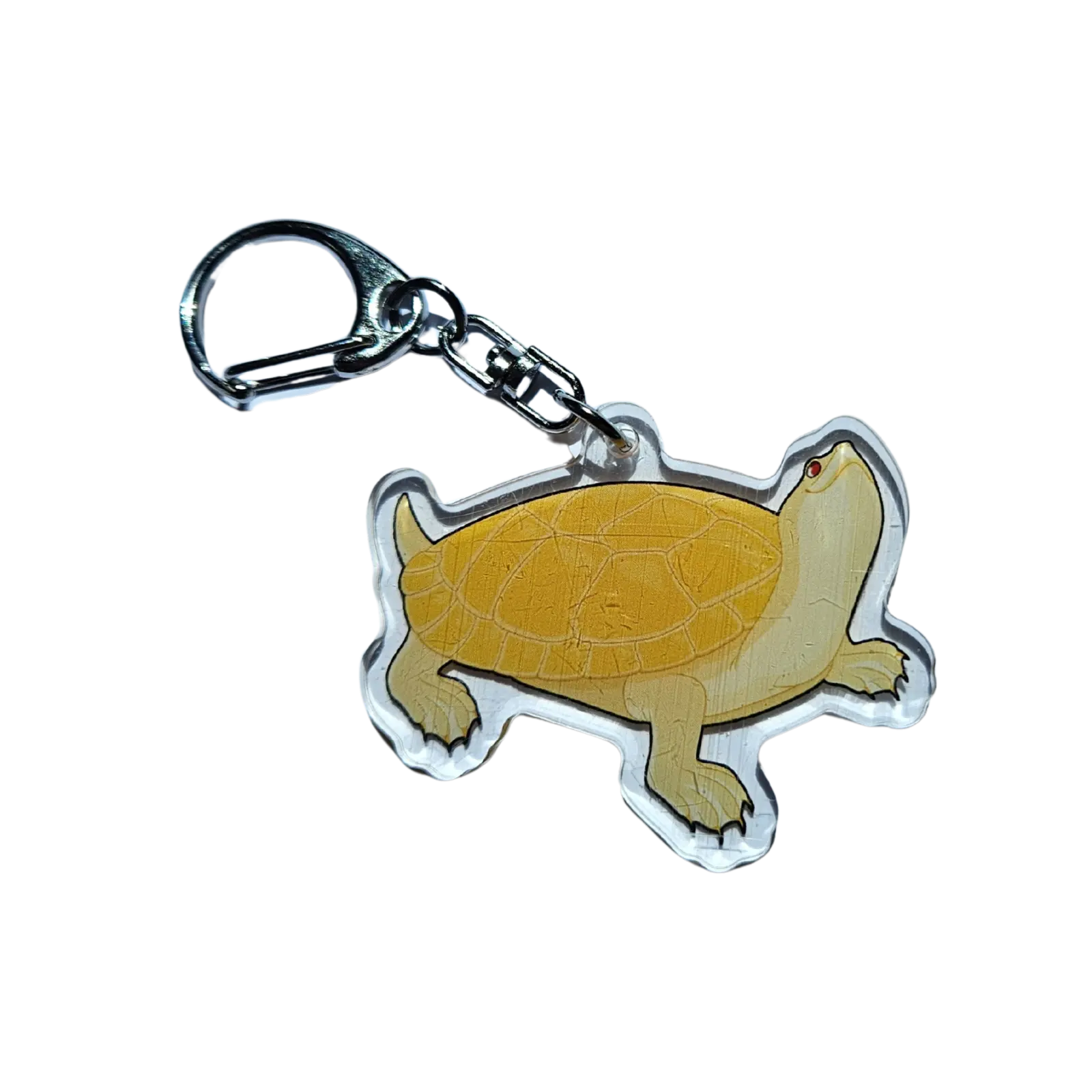 Albino Murray Turtle (Luna) Acrylic Keychain Hecko Gecko
