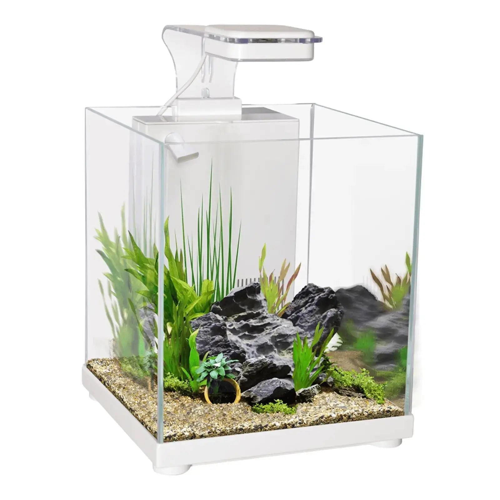 AquaOne Betta Sanctuary 10L Glass Tank - White Aqua One