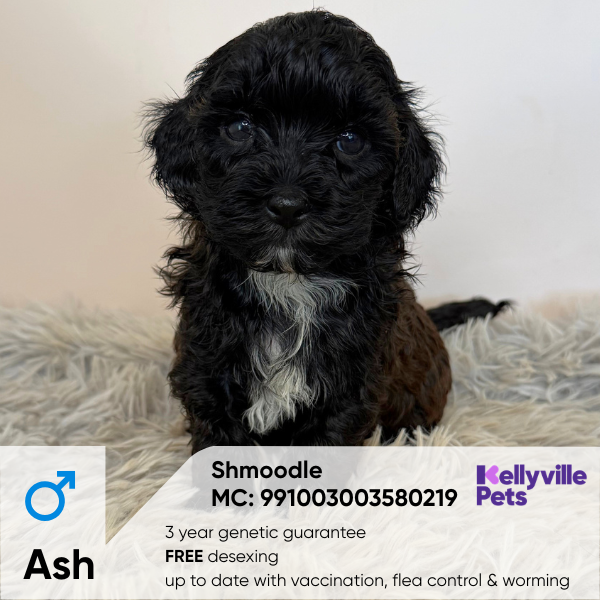 Ash