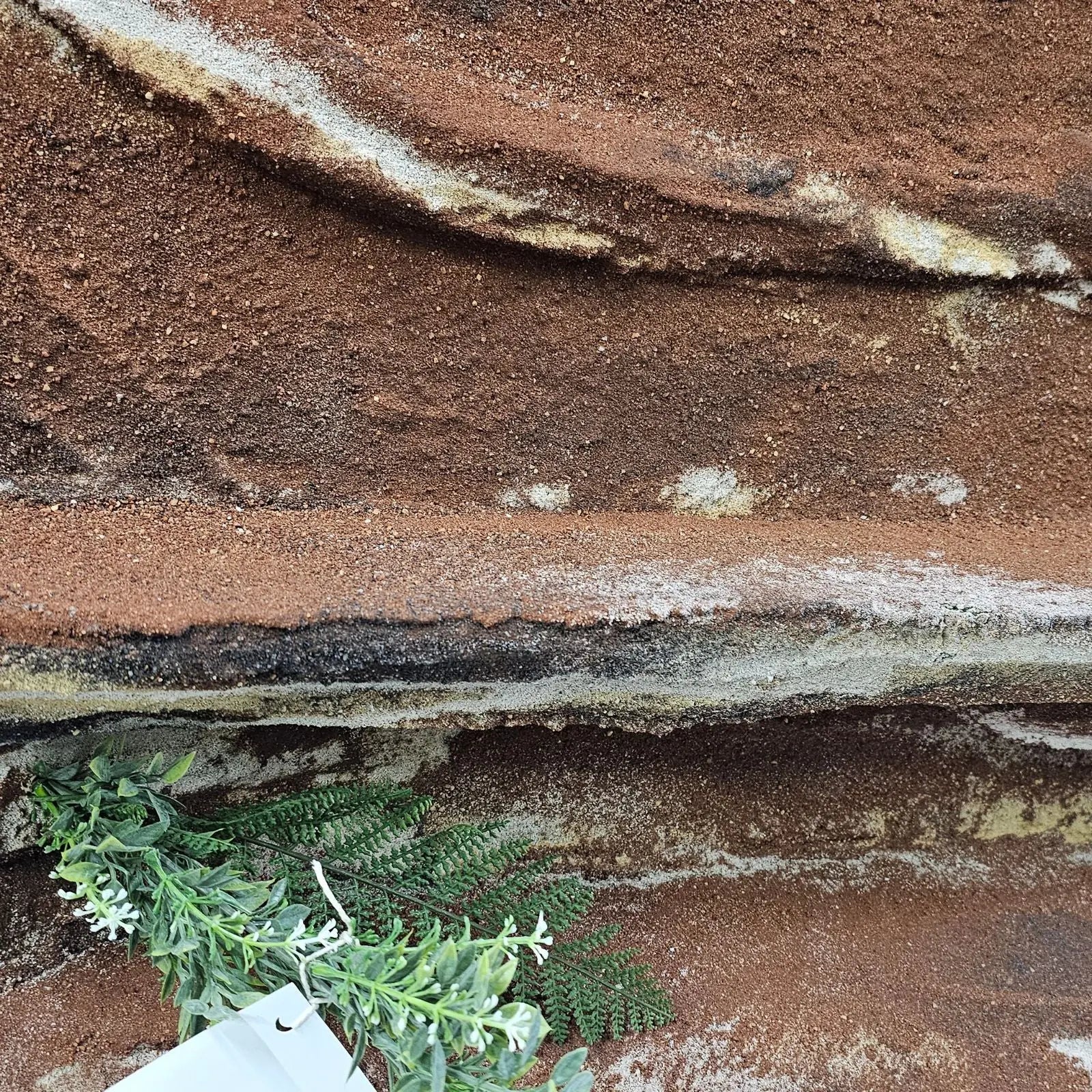 Aussie Deco 120x60cm Deluxe Background Aussie Deco