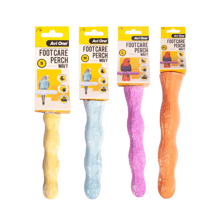 Avi One Foot Care Perch Wavy - Kellyville Pets