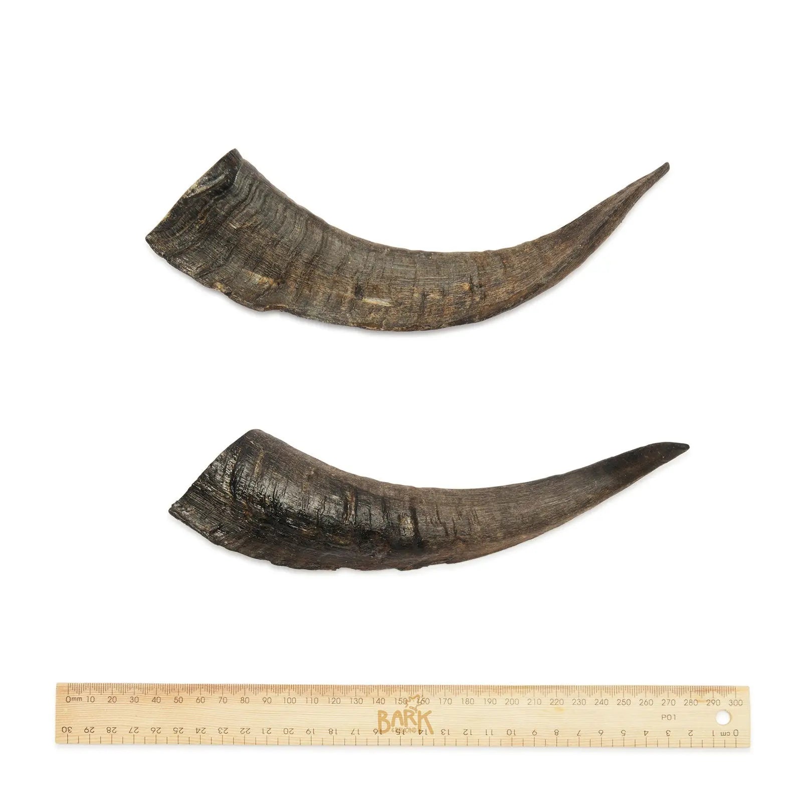 Bark & Beyond Goat Horn - Kellyville Pets