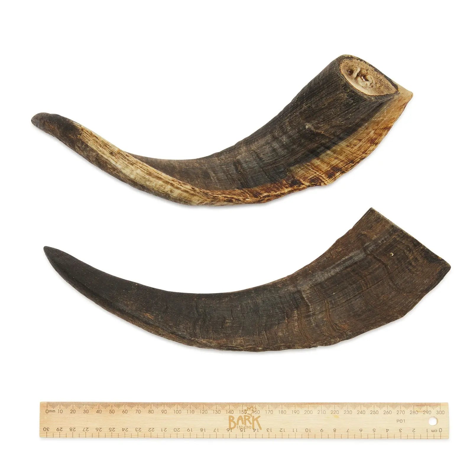 Bark & Beyond Goat Horn - Kellyville Pets