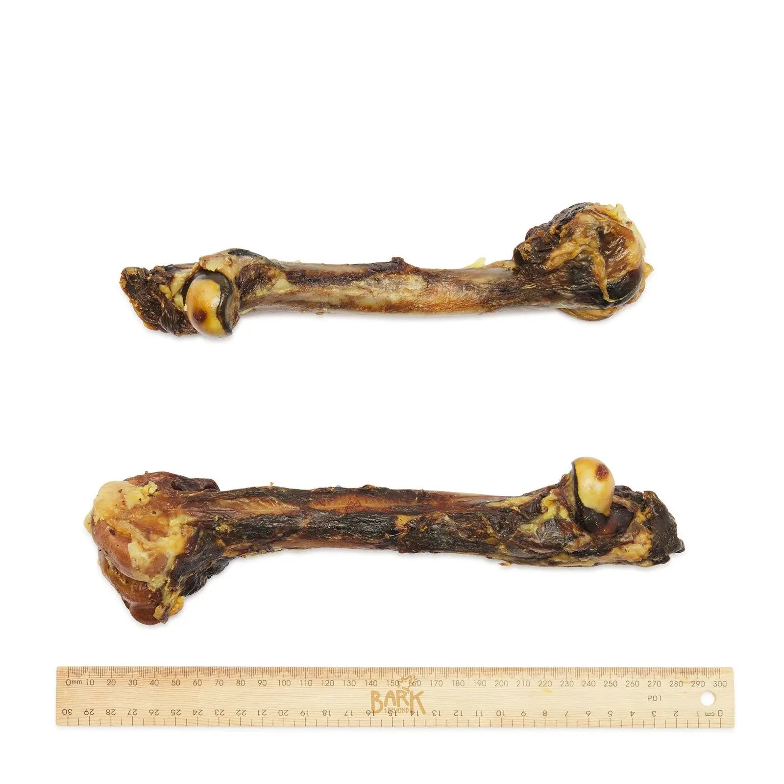 Bark & Beyond Kangaroo Leg Bone - Kellyville Pets
