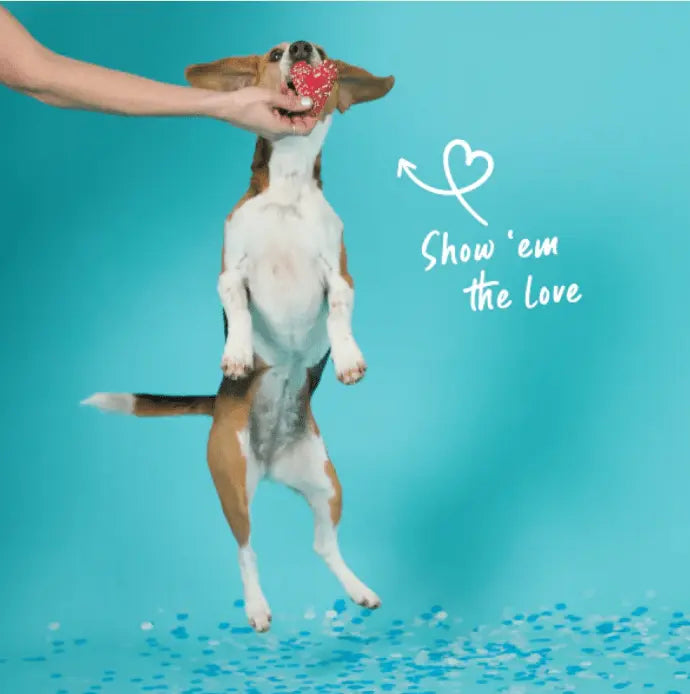 Barney's Barkery Carob Heart Cookie Dog Treat - Kellyville Pets