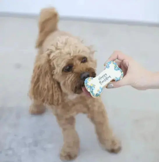Barney's Barkery Dog Birthday Bone Cake - Blue Barneys Barkery