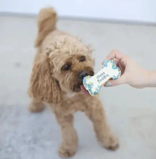 Barney's Barkery Dog Birthday Bone Cake - Blue Barneys Barkery