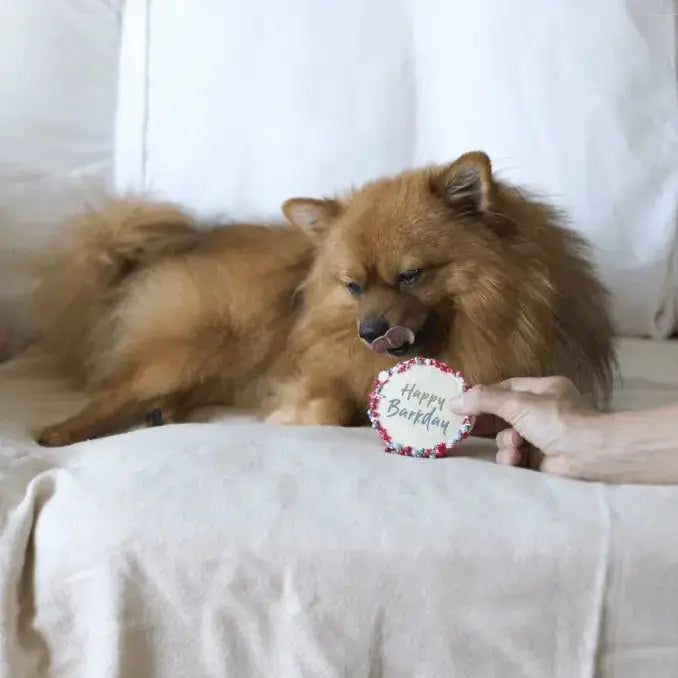 Barney's Barkery Dog Birthday Cake - Red Barneys Barkery