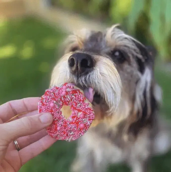 Barney's Barkery Dog Donut Biscuit - Pink Barneys Barkery