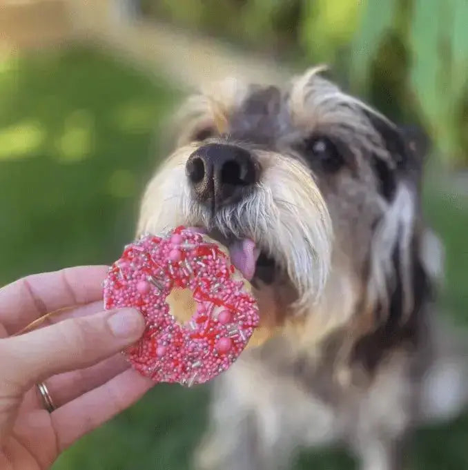 Barney's Barkery Dog Donut Biscuit - Pink Barneys Barkery