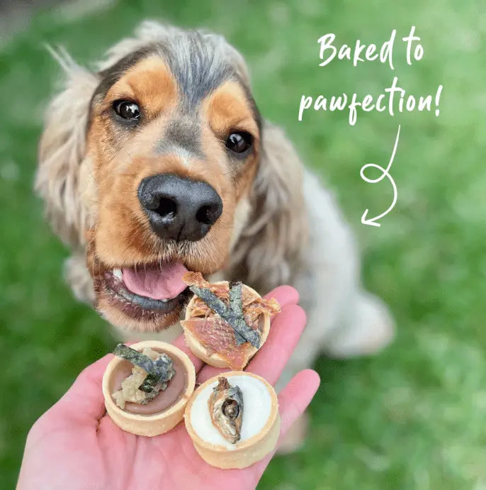 Barney's Barkery Meaty Petite Tarts - Kellyville Pets