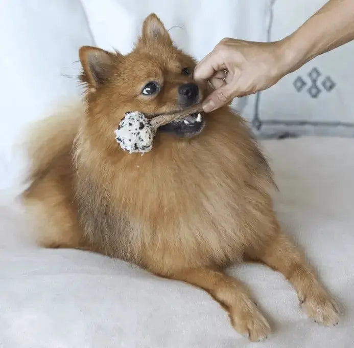 Barney's Barkery Meaty Pop Treat - Liver Barneys Barkery