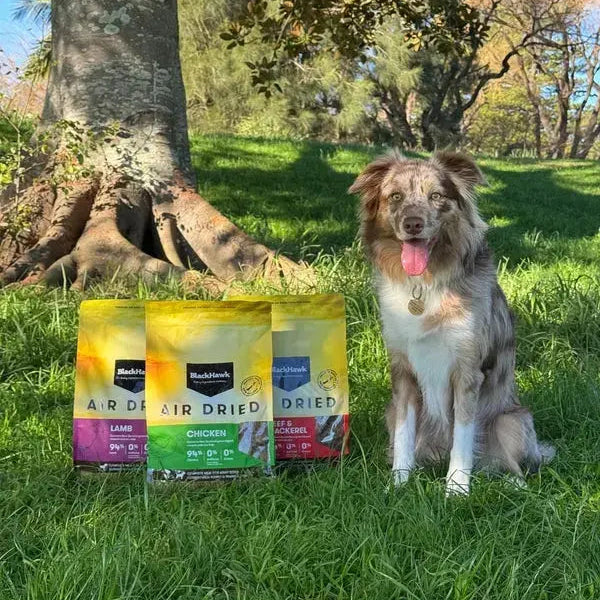 Black Hawk Air Dried Lamb Dog Food Black Hawk