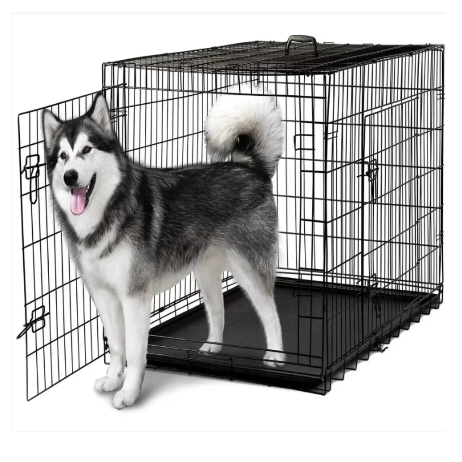Bono Fido Collapsible Dog Crate Bono Fido