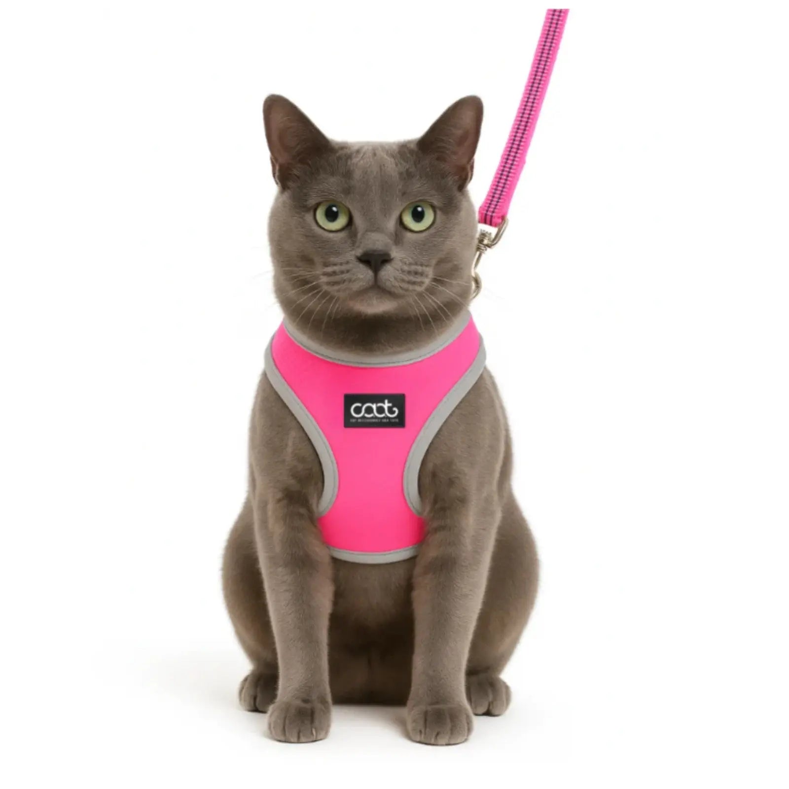 CAAT Harness and Lead Kit - One size - Lady CAAT