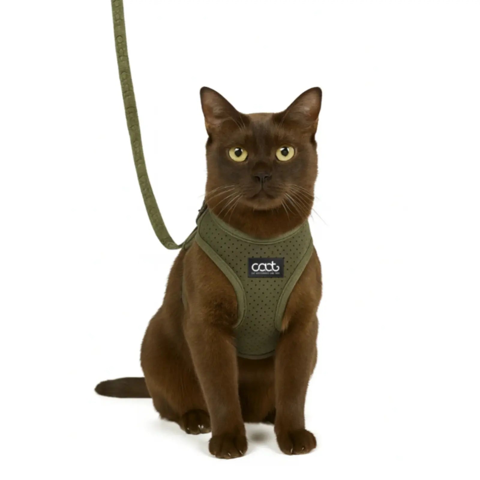 CAAT Harness and Lead Kit - One size - Neosport Green CAAT