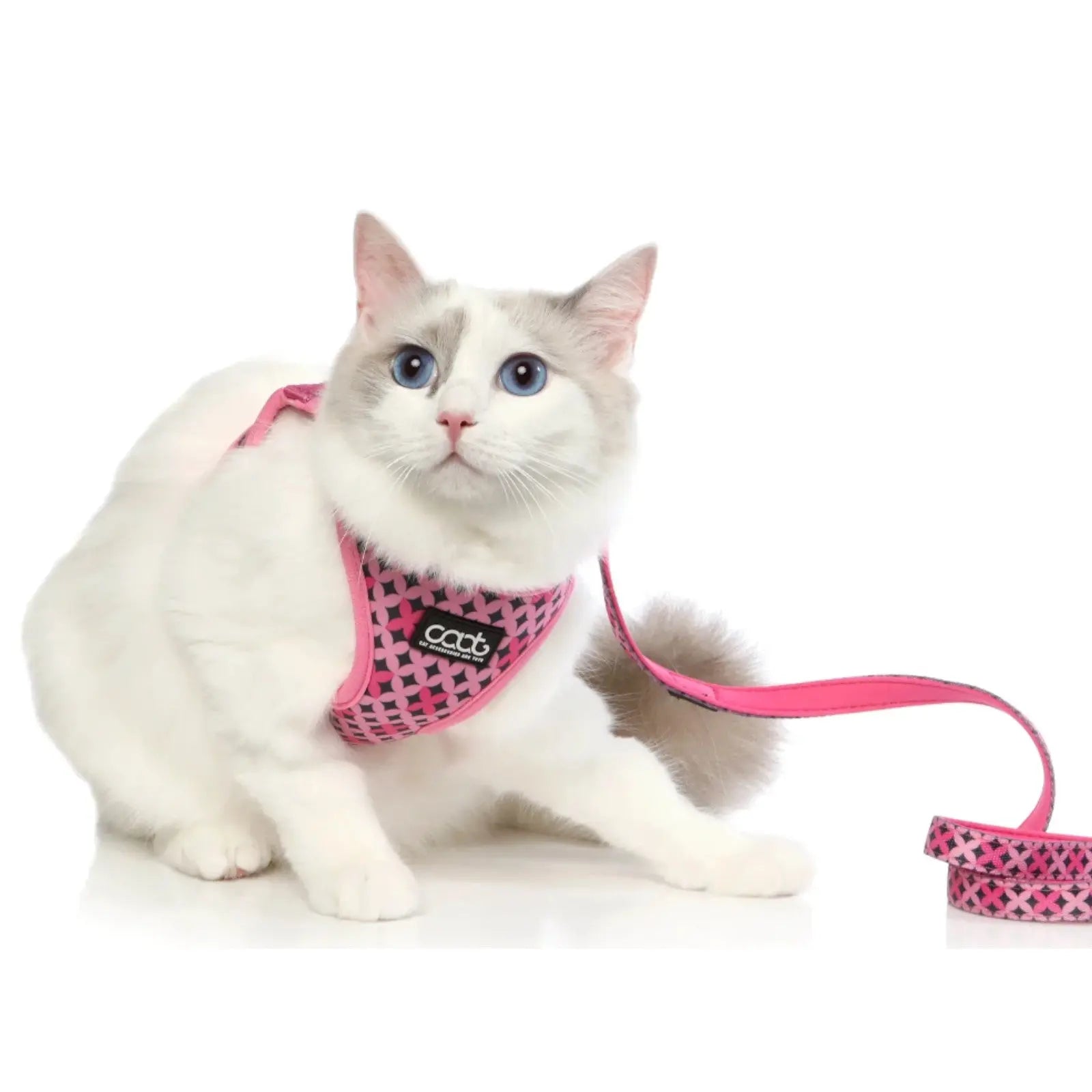 CAAT Harness and Lead Kit - One size - Toto CAAT