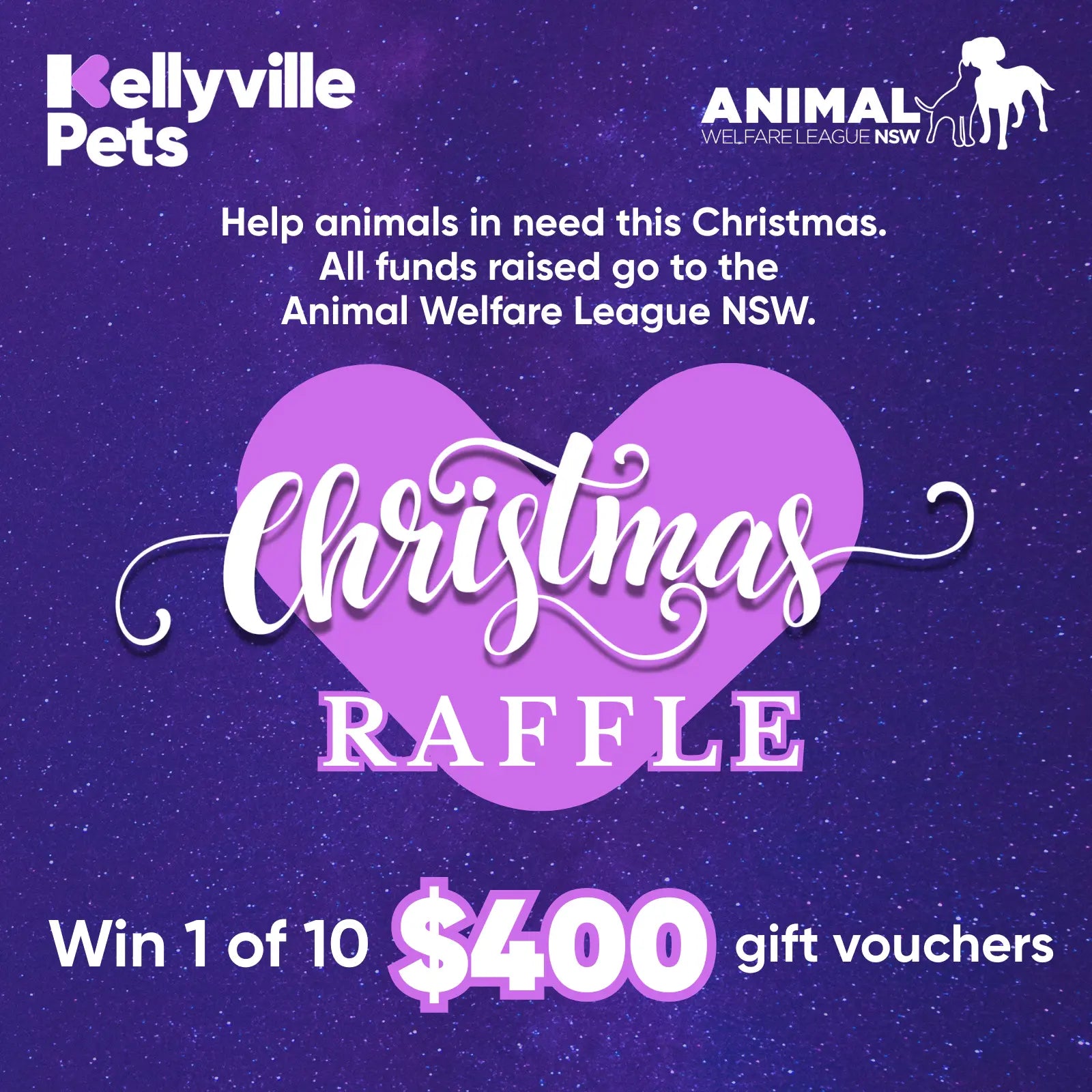 Christmas AWL Raffle 2025 None