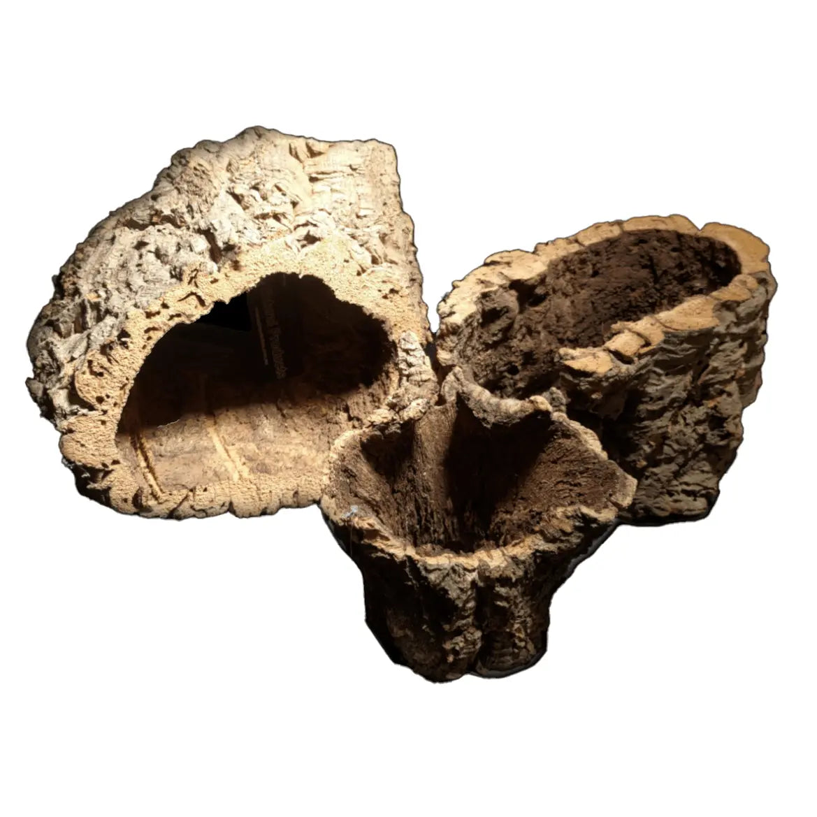 Cork Bark - Kellyville Pets