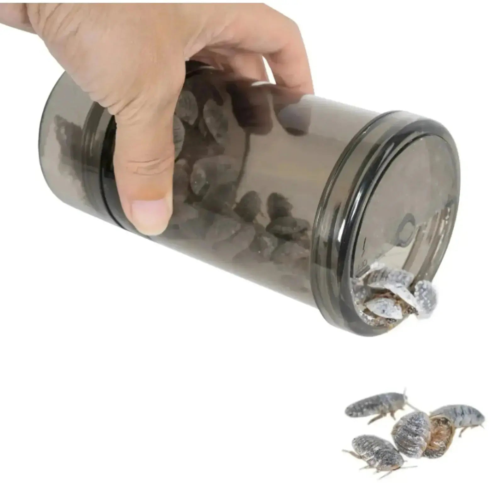 Echo Tech Reptile Insect Dusting Chamber Mixer Eco Tech