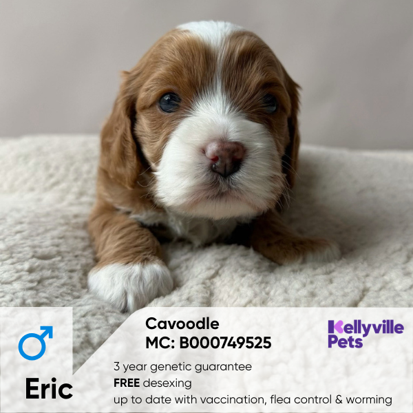 Eric