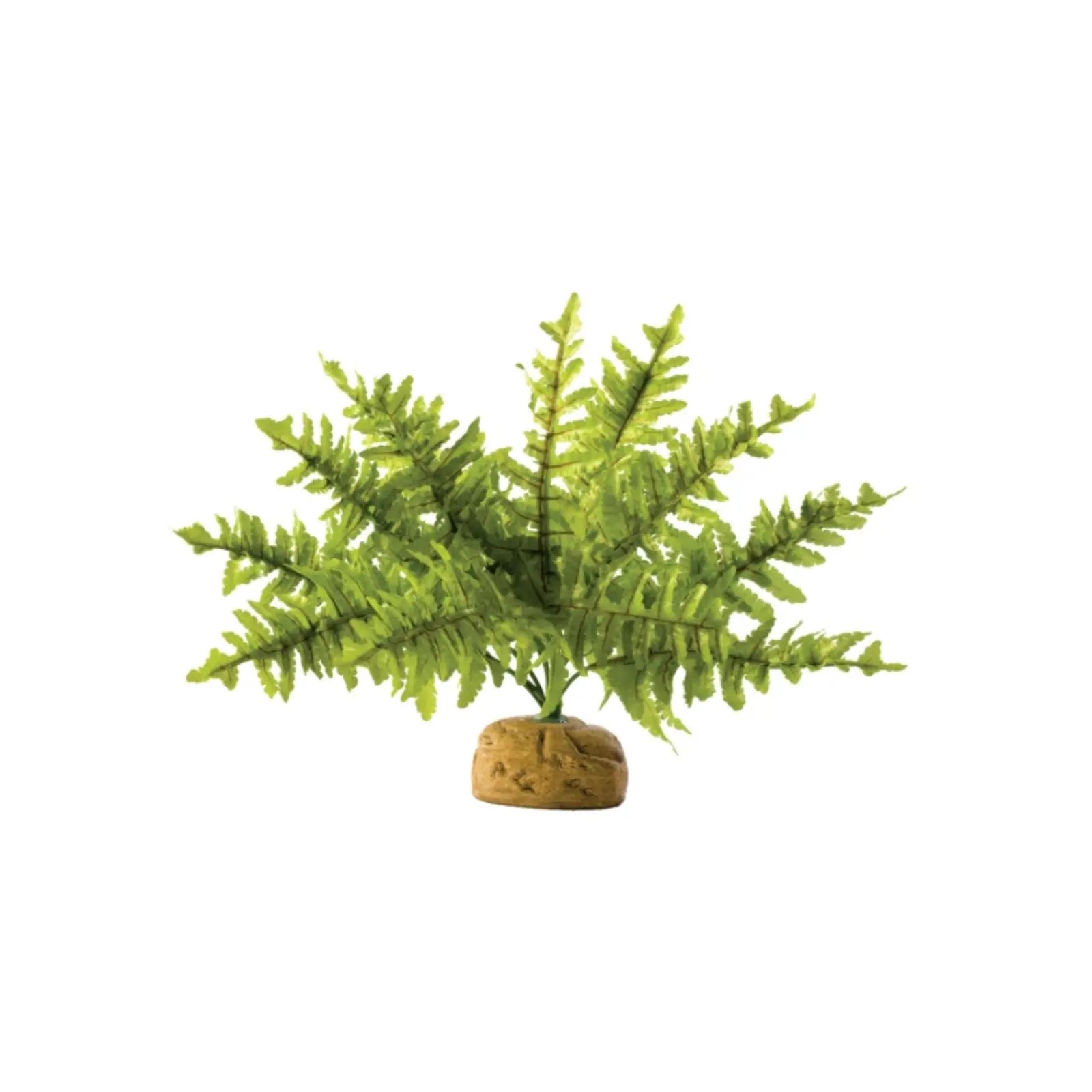 Exo Terra Plant Boston Fern Exo Terra