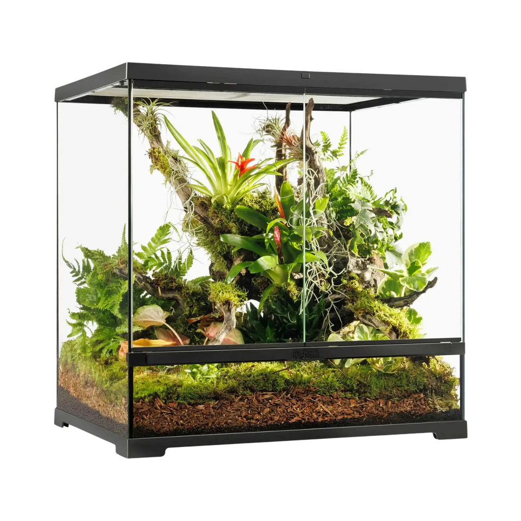 Exo Terra Pro Terrarium Medium/Tall 60x45x60cm