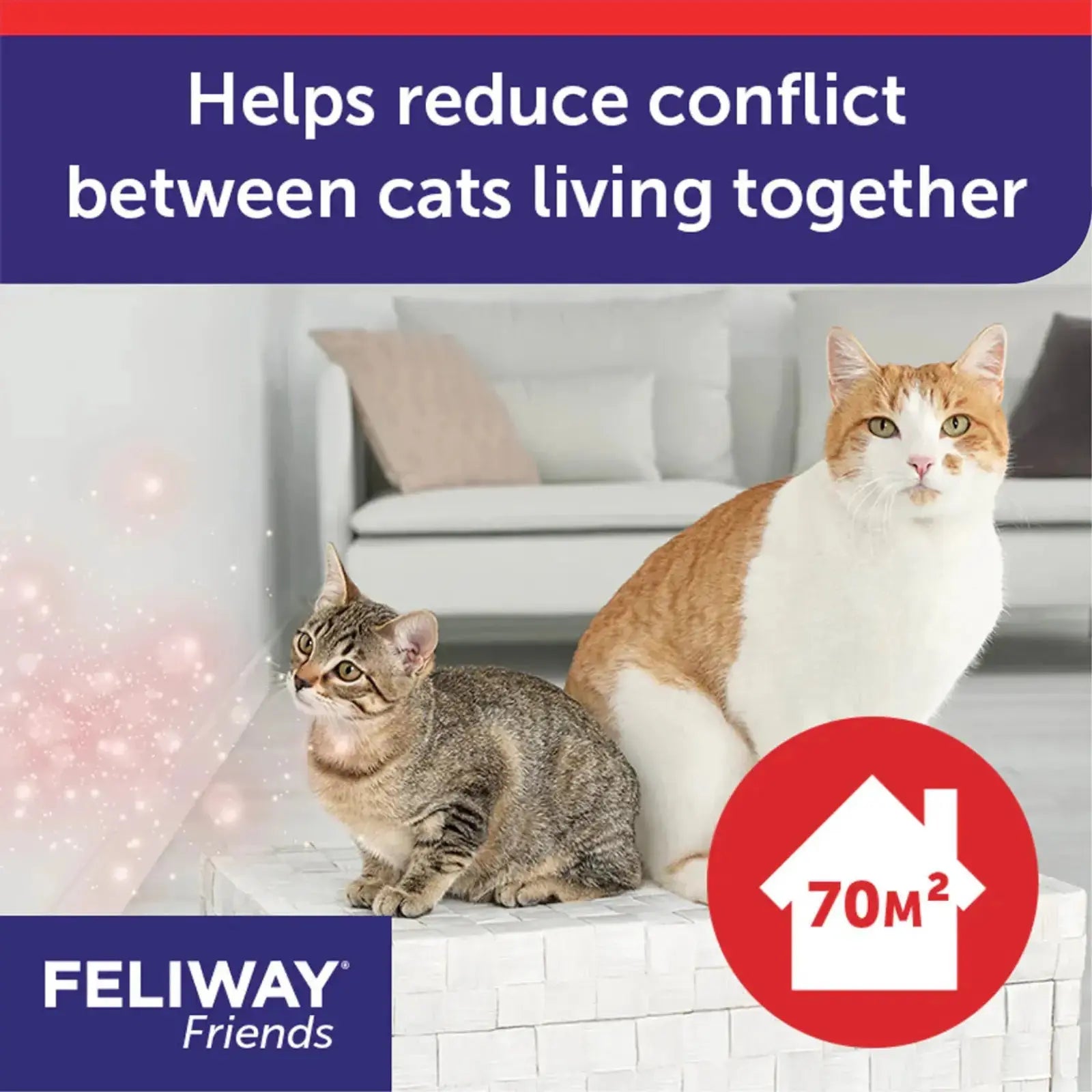 Feliway Friends Diffuser & Refill Set Feliway
