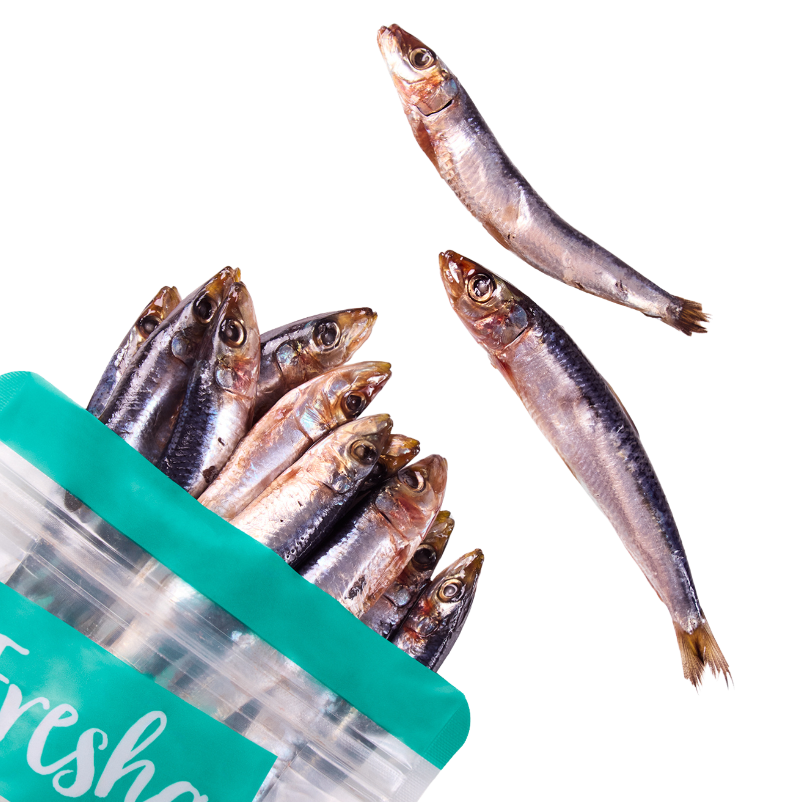 Fresha Wild Caught Sardines 500g Fresha