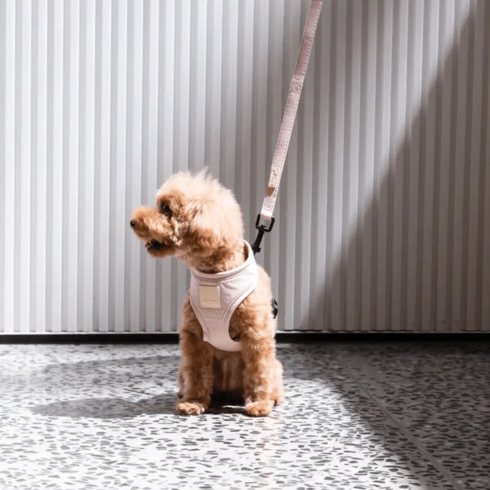 FuzzYard Life Dog Harness Range - Kellyville Pets